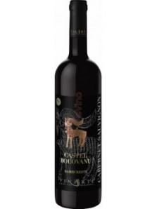 Castel Bolovanu Cabernet Sauvignon 2021 | VinArte | Samburesti